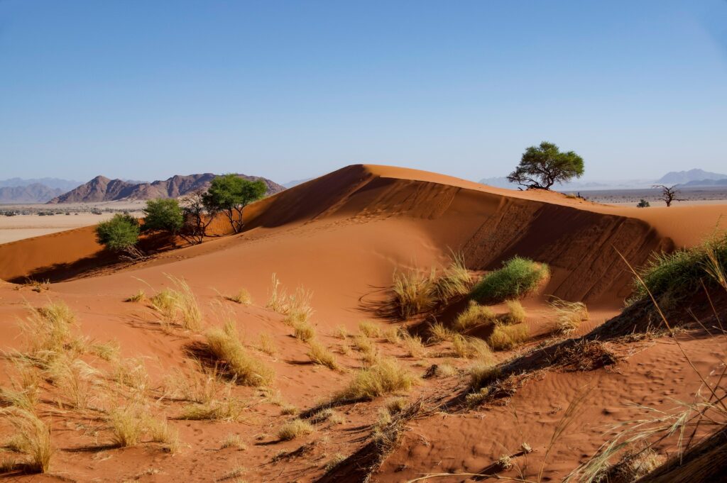Dunes de sables en Namibie.