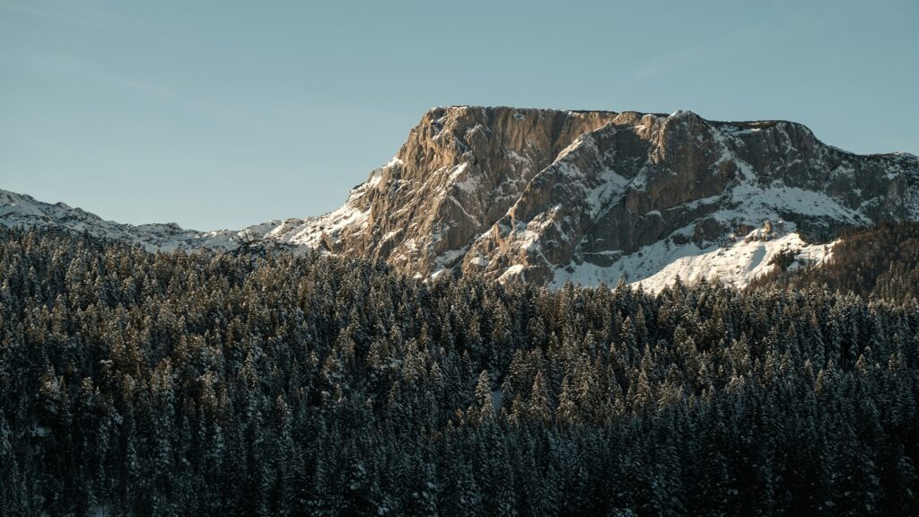 Forêt de sapins enneigés aux parc national de Durmitor à Monténégro.