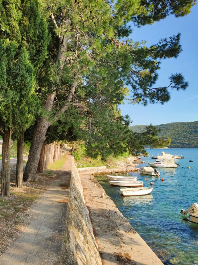 Voie piétonne recouverte d'arbres avec à sa droite des bateaux sur un lac.