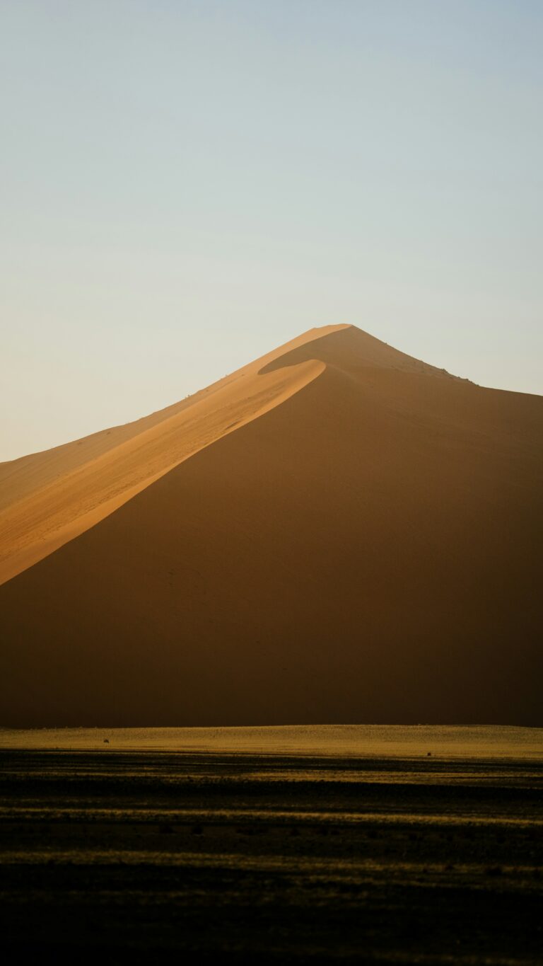Photo en portrait d'une colline de sable en Namibie.