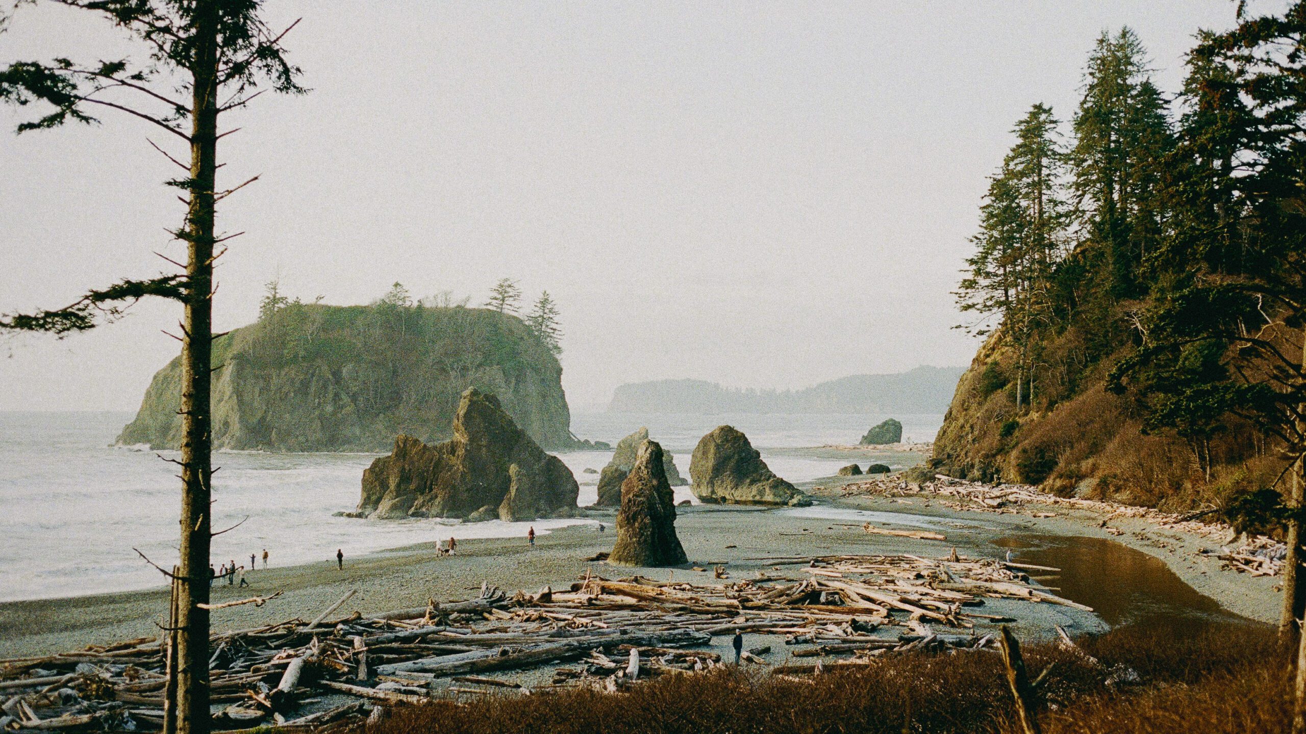 pacifique nord ouest rialto beach
