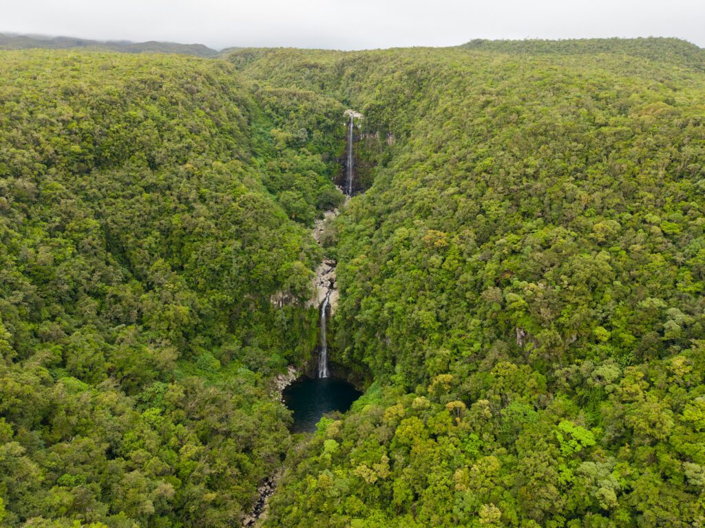 cascade au centre d'une forêt à la réunion.